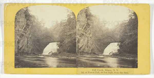 Fall Creek, Ithaca, N.Y. 2d, or Forest Fall, 60 feet high, from the dam, 1860/65. Creator: J. C. Burritt.
