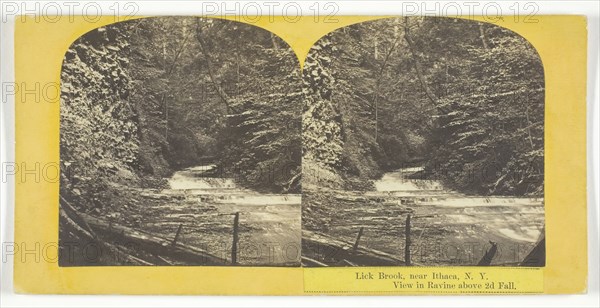 Lick Brook, near Ithaca, N.Y. View in Ravine above 2d Fall, 1860/65. Creator: J. C. Burritt.