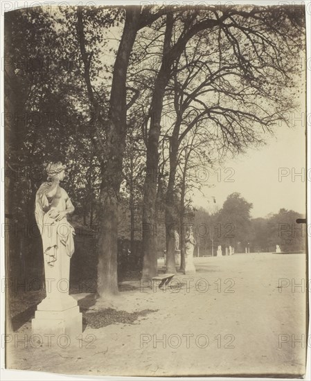 Versailles, Coin de Parc, 1904. Creator: Eugene Atget.