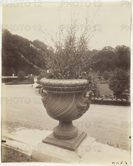 Versailles, Vase par Ballin, 1902. Creator: Eugene Atget.