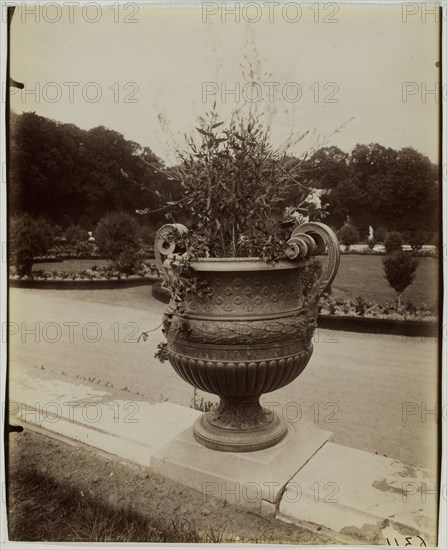 Versailles, Vase par Ballin, 1902. Creator: Eugene Atget.