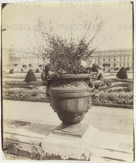 Versailles, Vase par Ballin, 1902. Creator: Eugene Atget.