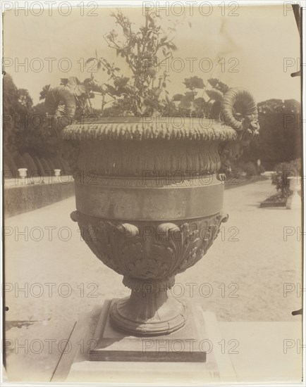 Versailles, Vase par Ballin, 1905. Creator: Eugene Atget.