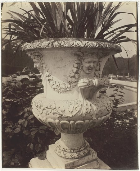 Versailles, Vase, 1905. Creator: Eugene Atget.