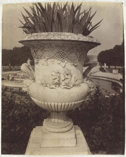 Versailles, Vase, 1905. Creator: Eugene Atget.