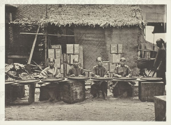 Tea-Picking in Canton, c. 1868. Creator: John Thomson.