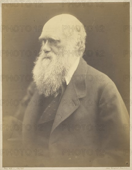 Charles Darwin, 1868. Creator: Julia Margaret Cameron.