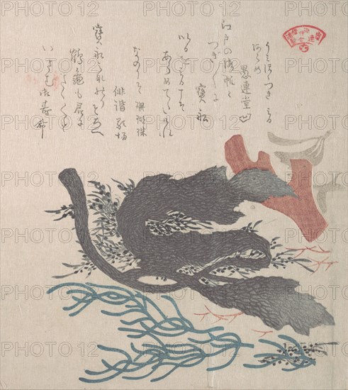 Various Seaweed, 19th century. Creator: Kubo Shunman.
