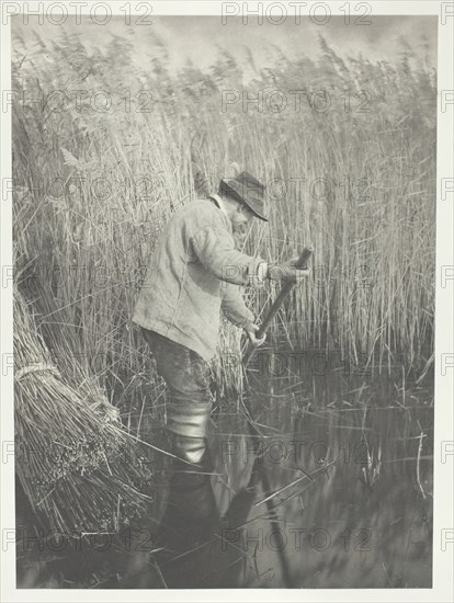 A Reed-Cutter at Work, 1886. Creator: Peter Henry Emerson.