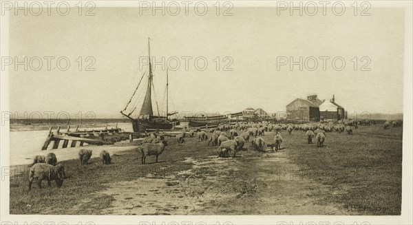 Blackshore, River Blythe (Suffolk), c. 1883/87, printed 1888. Creator: Peter Henry Emerson.