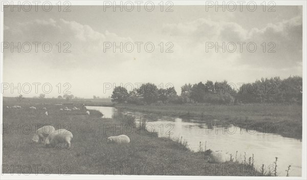 On the River Bure, 1886. Creator: Peter Henry Emerson.