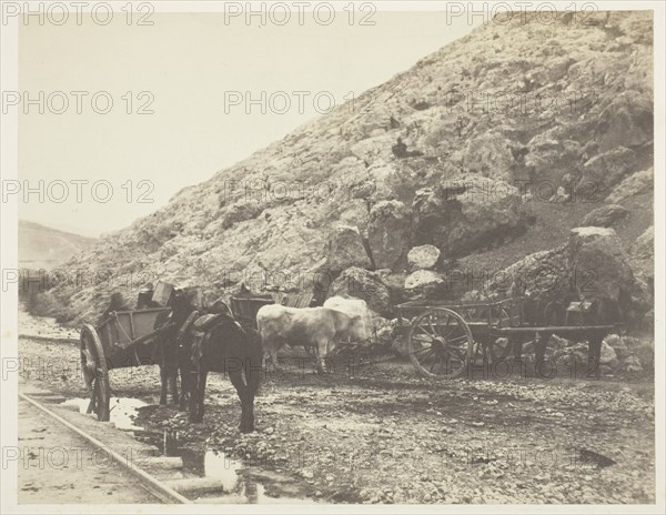 Cattle and Carts, leaving Balaklava, 1855. Creator: Roger Fenton.