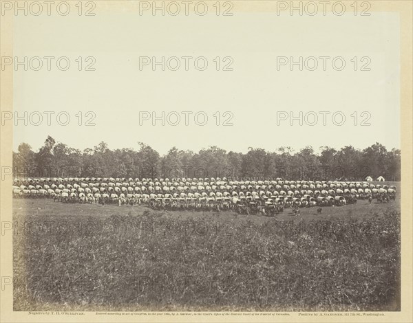 Wagon Park, Brandy Station, Virginia, May 1863. Creator: Alexander Gardner.