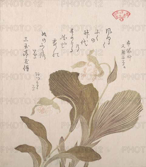 Hotei Flowers, 19th century. Creator: Kubo Shunman.