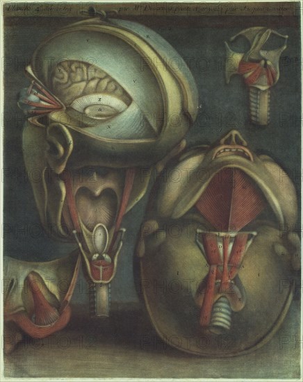 Two Views of the Head, 1746. Creator: Jacques Fabien Gautier Dagoty.