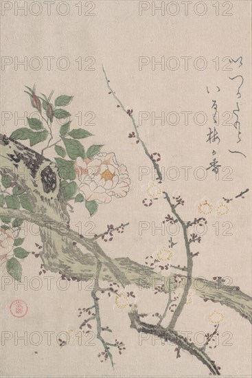 Roses and Plum Blossoms, 19th century. Creator: Kubo Shunman.