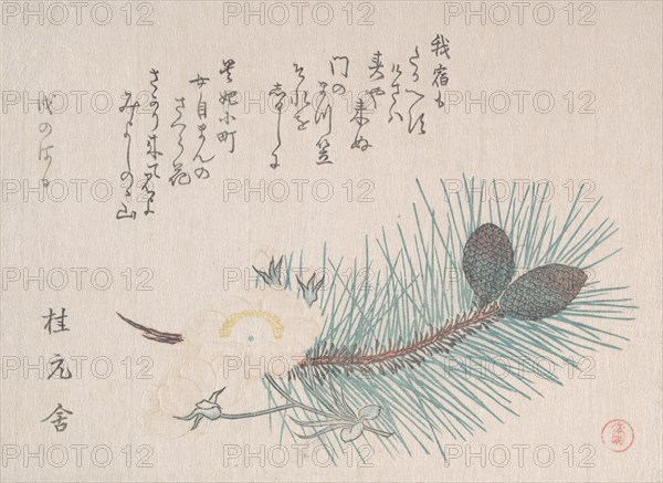 Pines and Cherry Blossoms, probably 1814. Creator: Kubo Shunman.