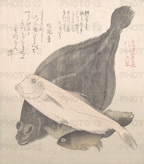 Flounder and Other Fishes, 19th century. Creator: Kubo Shunman.