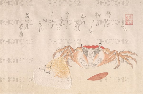 Crab, Baked Rice-Ball and Seed of Persimmon, 19th century. Creator: Kubo Shunman.