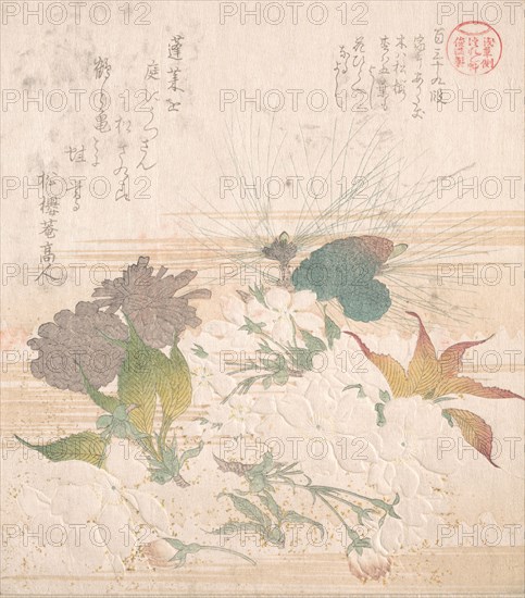 Cherry Blossoms and Pine Cones, 19th century. Creator: Kubo Shunman.