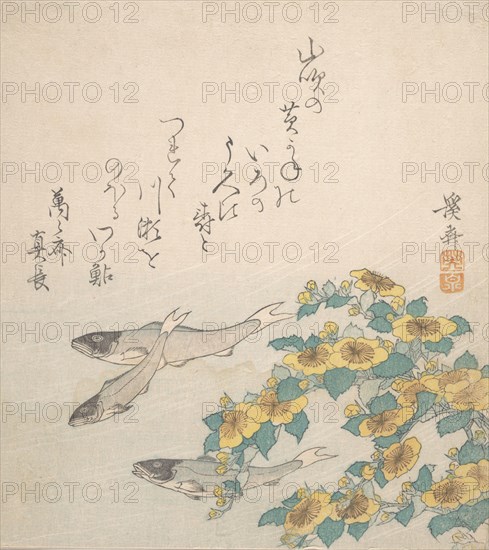 Fishes Swimming with Yellow Flowers, ca. 1830. Creator: Ikeda Eisen.