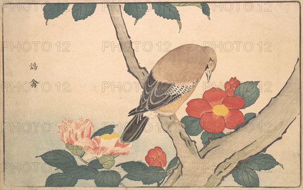 Camellias with a Bird, 1789. Creator: Kitao Masayoshi.