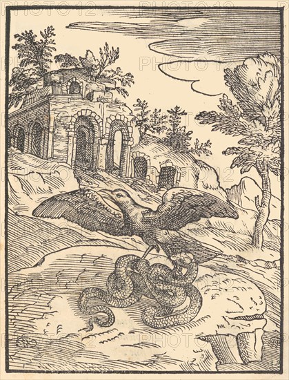 Bird and snake, 1570. Creator: Giovanni Maria Verdizotti.