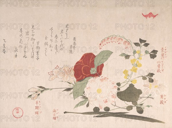 Spring Rain Collection (Harusame shu), vol. 2: Cut Flowers: Clematis, Bus..., 1815 (Year of the Ox). Creator: Kubo Shunman.