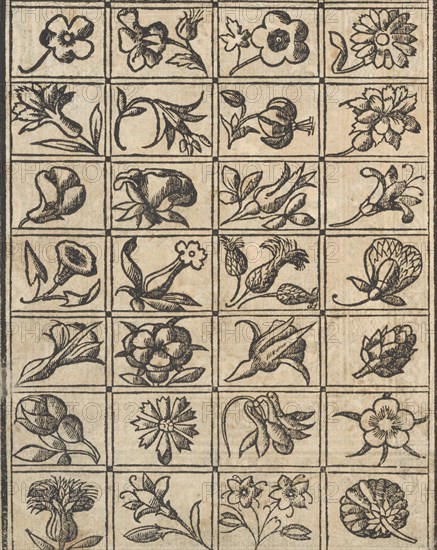 Essempio di recammi, page 10 (verso), 1530. Creator: Giovanni Antonio Tagliente.