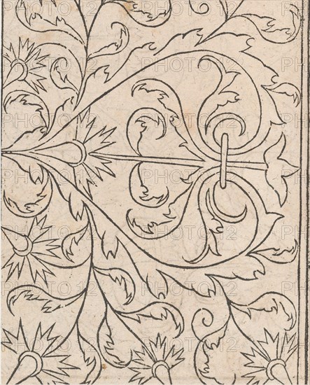 New Modelbüch allen Nägerin u. Sydenstickern (Page 25v), 1556. Creator: Hans Hoffman.