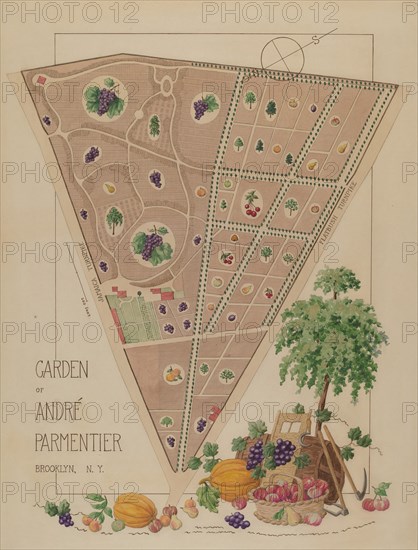 Andre Parmentier Garden, c. 1936. Creator: Helen Miller.