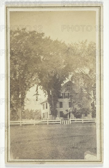 Miss Brown's house and curious elm cross., mid-late 19th century. Creator: H. O. Bly.