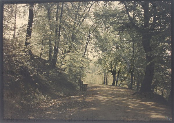 Untitled [path through a forest], c. 1880.  Creator: Unknown.