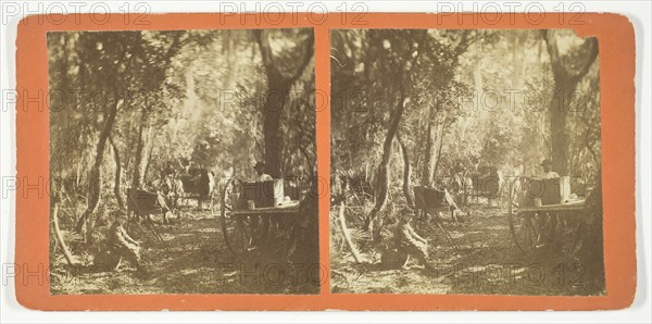 Moss Avenue, Fort George, Florida, 1872. Creator: Unknown.