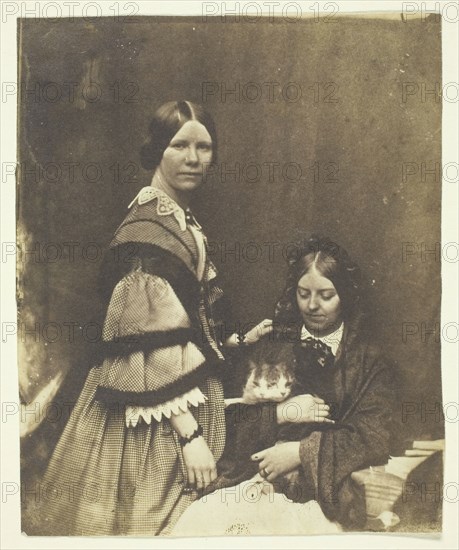 Mrs. Craik Holding Cat, c. 1858. Creator: Benjamin Mulock.