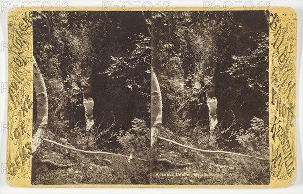 Ausable Chasm - Mystic Gorge, late 19th century. Creator: Baldwin Photo.