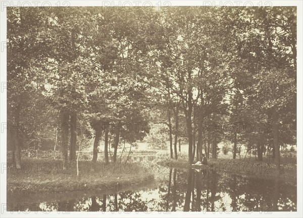 Untitled, c. 1850. [Trees near water in the Bois de Boulogne, a park in Paris].  Creator: Charles Marville.