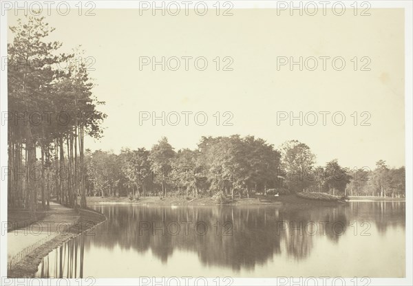 Untitled, c. 1850. [Trees near water in the Bois de Boulogne, a park in Paris].  Creator: Charles Marville.