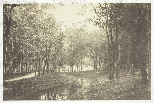 Untitled, c. 1850. [Trees near water in the Bois de Boulogne, a park in Paris].  Creator: Charles Marville.