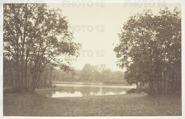 Untitled, c. 1850. [Trees near water in the Bois de Boulogne, a park in Paris].  Creator: Charles Marville.