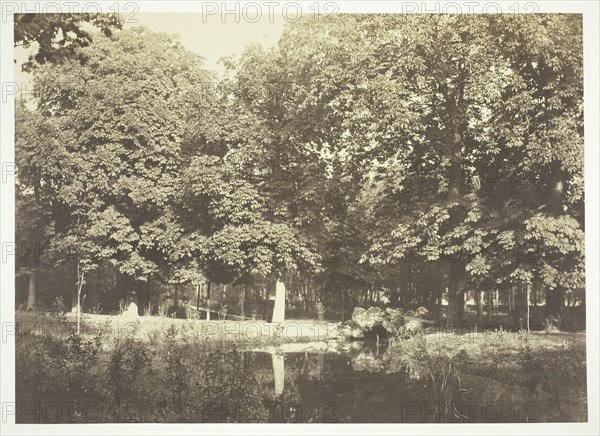 Untitled, c. 1850. [Trees near water in the Bois de Boulogne, a park in Paris].  Creator: Charles Marville.