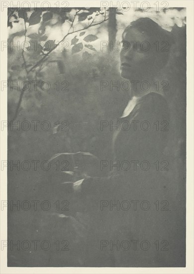 Edge of Woods, c. 1899. Creator: Clarence H White.