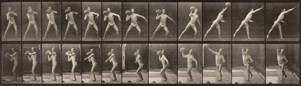 Animal Locomotion, Plate 319, 1887. Creator: Eadweard J Muybridge.