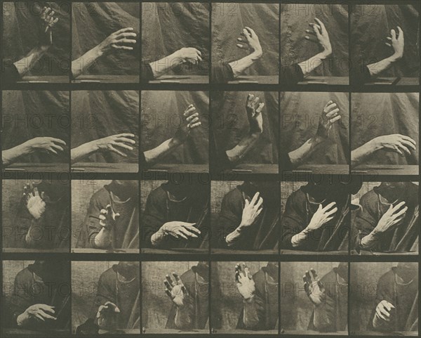 Animal Locomotion, Plate 535, 1887. Creator: Eadweard J Muybridge.