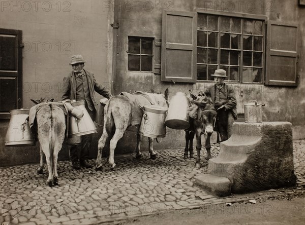 Milk Donkeys, c. 1890. Creator: Frank Meadow Sutcliffe.