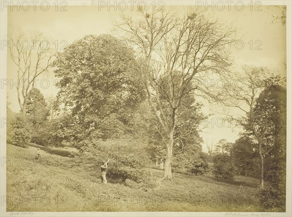 Rook Shooting, May 21, 1881. Creator: Henry Peach Robinson.