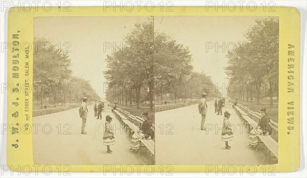 The Mall, 1873/81. Creator: J.W. & J.S. Moulton.