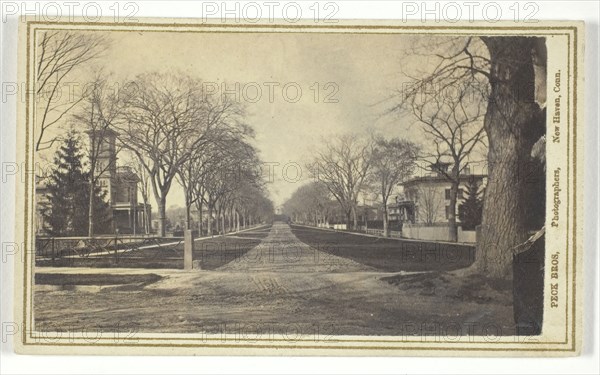 Hillhouse Avenue, 19th century. Creator: Peck Brothers.
