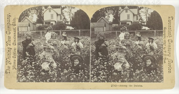 Among the Daisies, 1897. Creator: T.D. Rust.