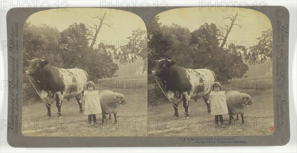 A little Child Shall Lead them!, 1901. Creator: Underwood & Underwood.